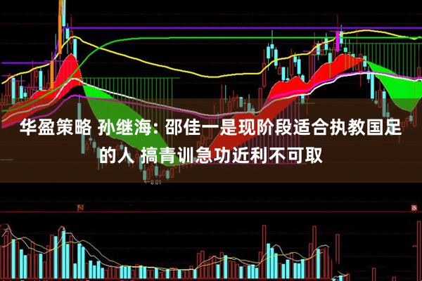 华盈策略 孙继海: 邵佳一是现阶段适合执教国足的人 搞青训急功近利不可取