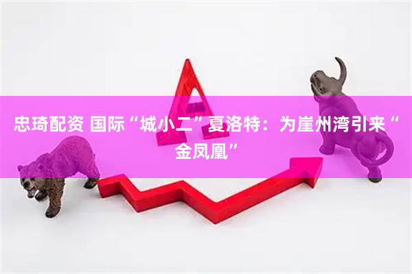 忠琦配资 国际“城小二”夏洛特：为崖州湾引来“金凤凰”