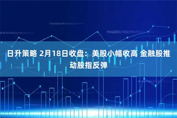 日升策略 2月18日收盘：美股小幅收高 金融股推动股指反弹