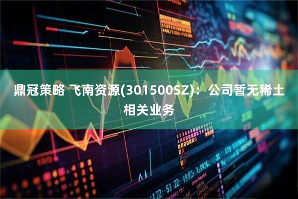 鼎冠策略 飞南资源(301500SZ)：公司暂无稀土相关业务