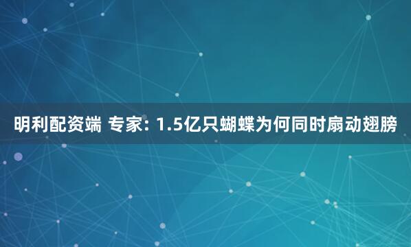 明利配资端 专家: 1.5亿只蝴蝶为何同时扇动翅膀